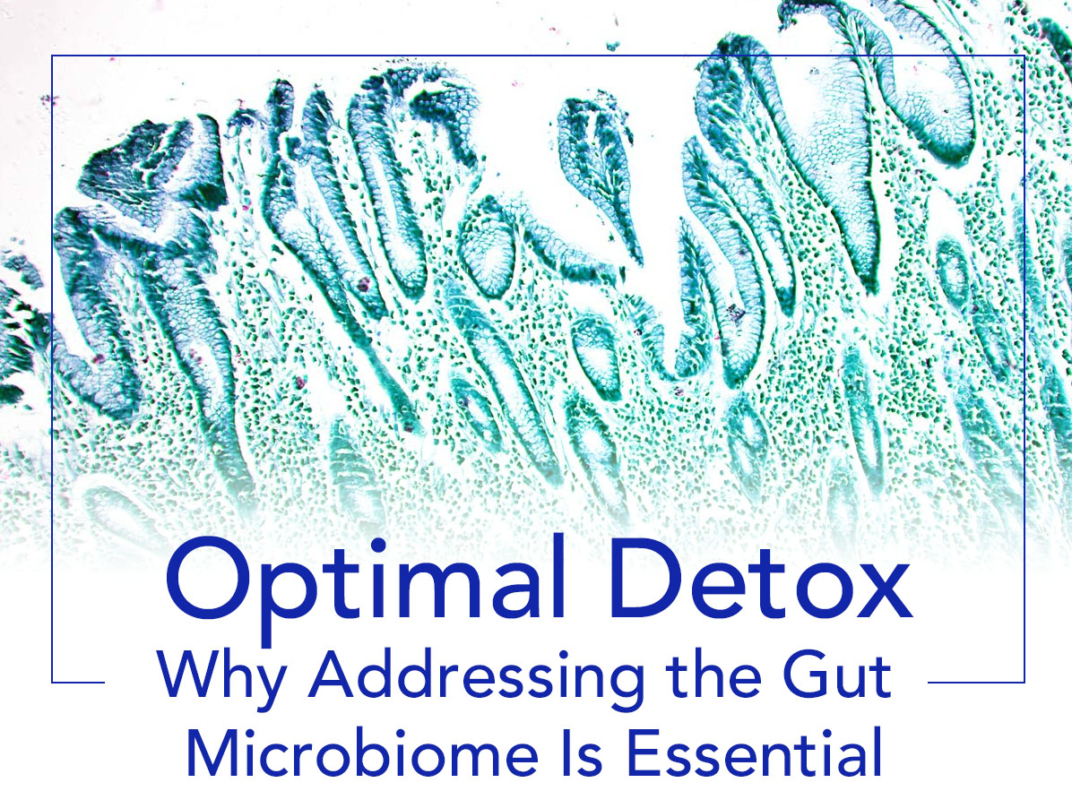  Optimal Detox: Why Addressing the Gut Microbiome Is Essential